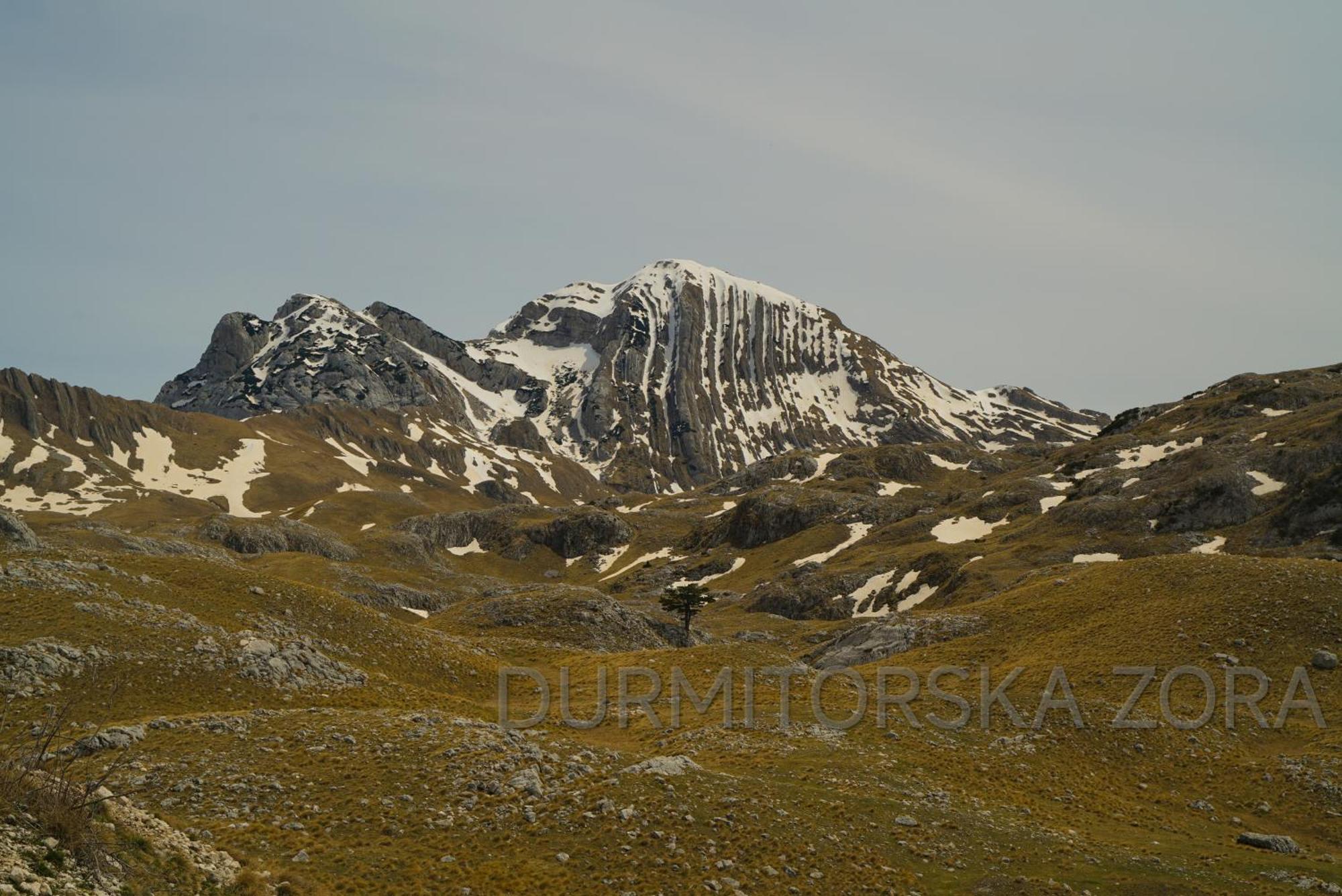 Durmitorska Zora Villa Žabljak Exterior foto